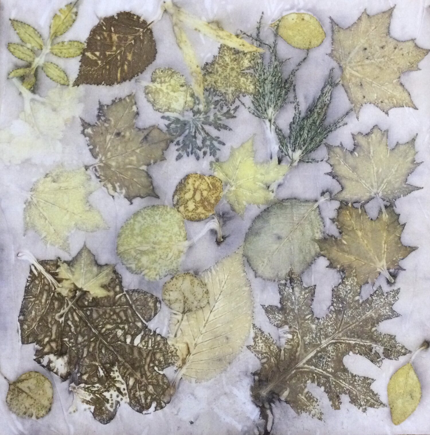 Jacqueline Harrington , Inner Color, Outer Shape eco print, 14 x 14 in. $350