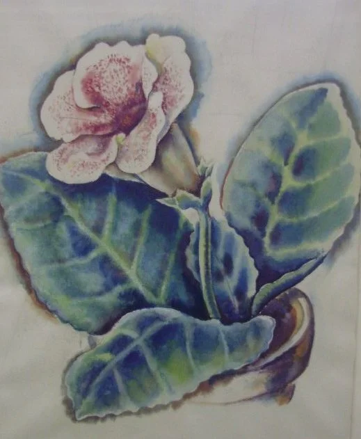   Umberto Romano ,  Gloxinia , watercolor, 12 x 9 in. 