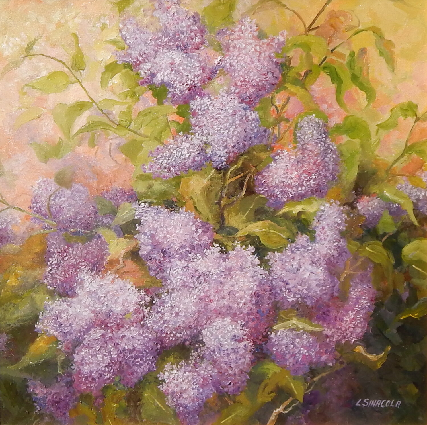   Linda Sinacola ,  Lilacs  Oil on canvas, 20 x 20 in.  $1,200                           
