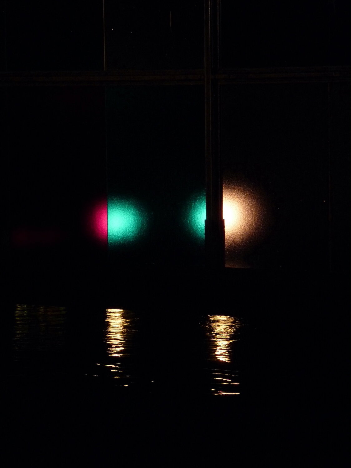   Judy Miller Bailey ,  Night Garden  Photography, 20 x 16 in.  $300  