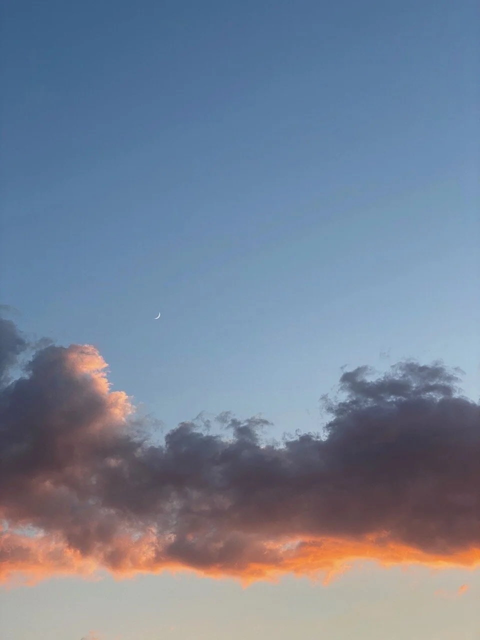 Karen Watson , Crescent Moon You’re Back Archival digital print, 12 x 15 in. $200