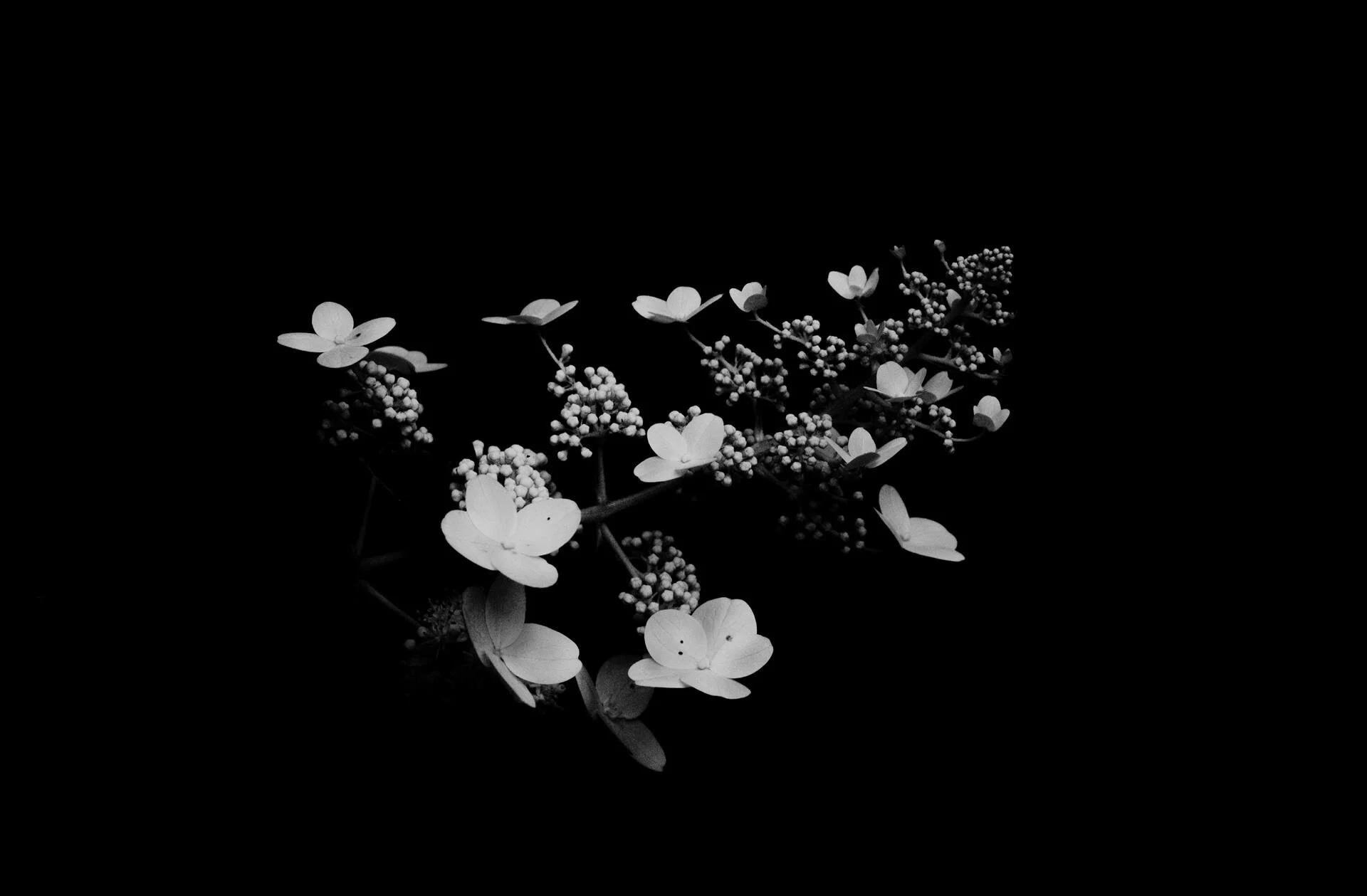 Matthew Tusinski , Untitled 014
