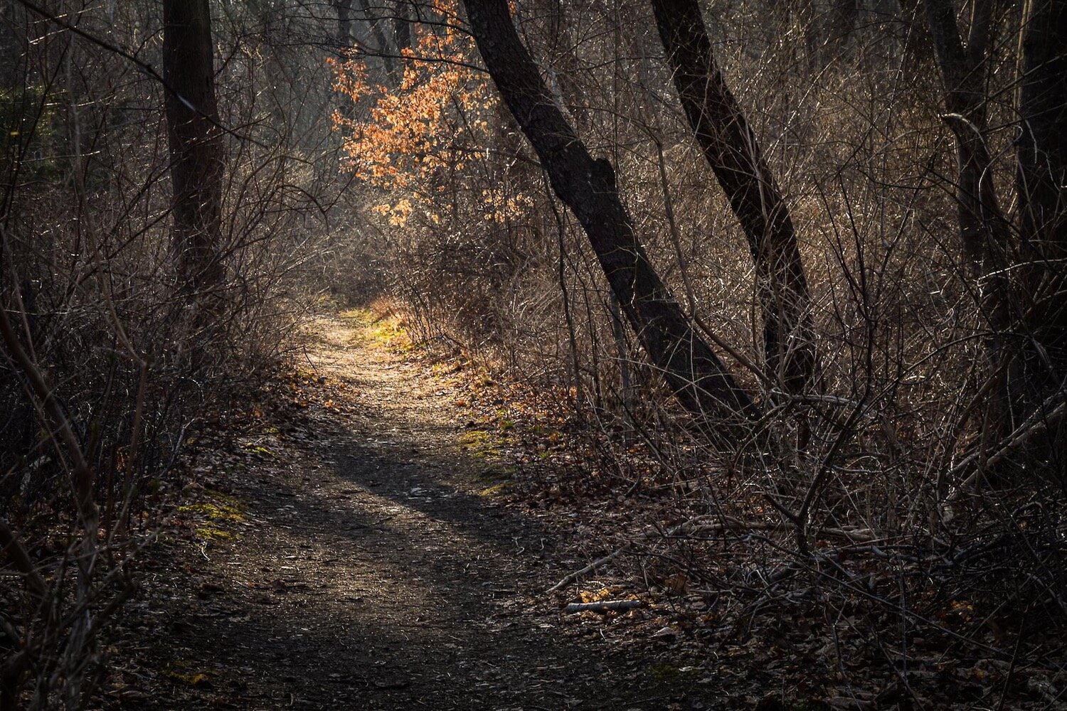 Janice Koskey , Peace to All Who Enter Here Photography, 12 x 18 in. $225 Bob McPhail Award for imaginative and expressive digital photography