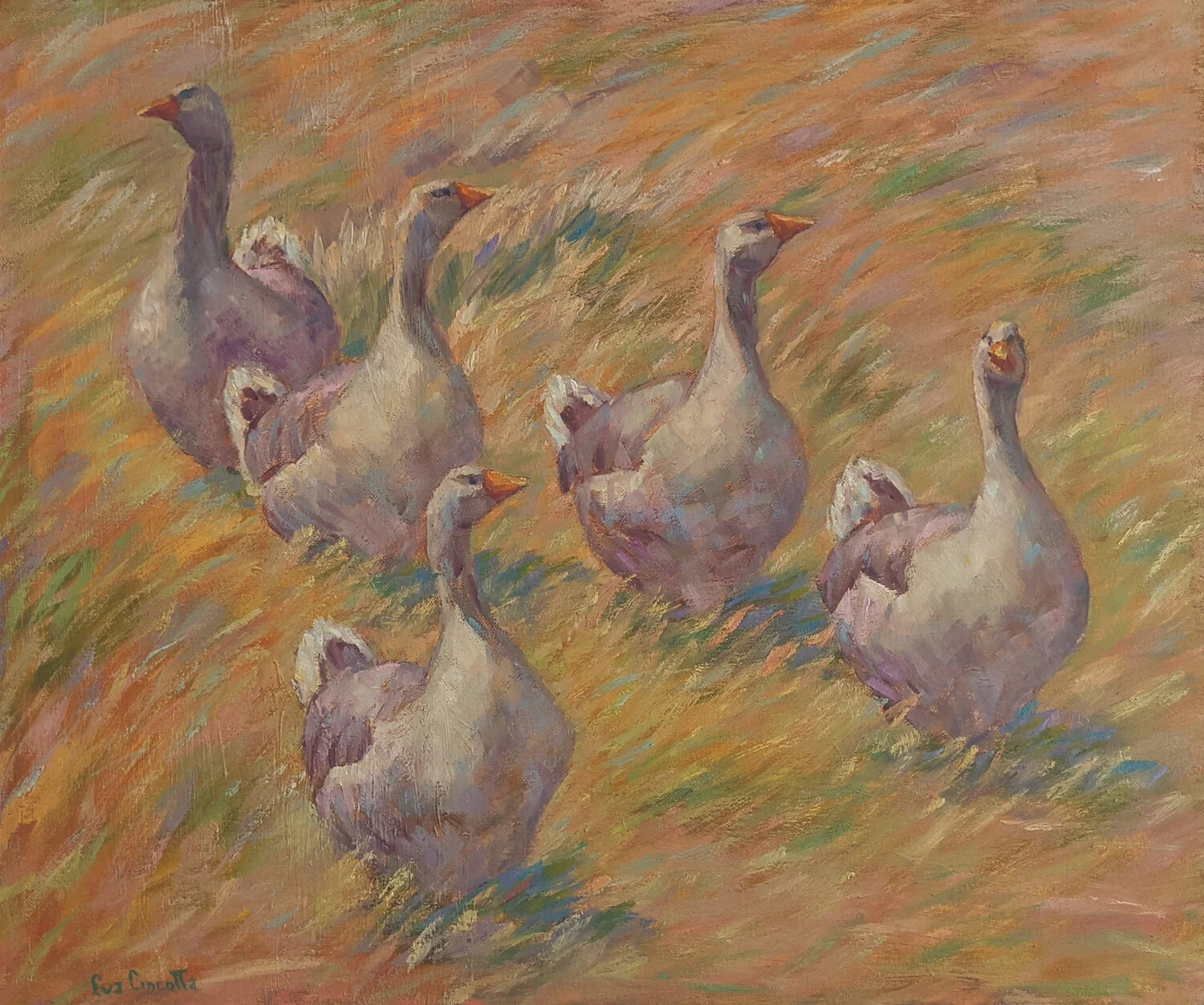 Eva Cincotta , Geese Stroll Oil on canvas, 20 x 24 in. $1,400