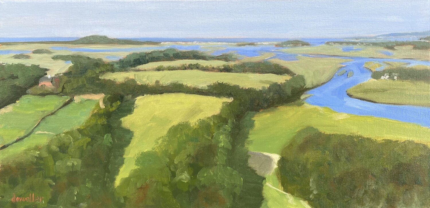 Debbie Mueller , Modern Bird’s Eye View Oil on canvas, 10 x 20 in. $950
