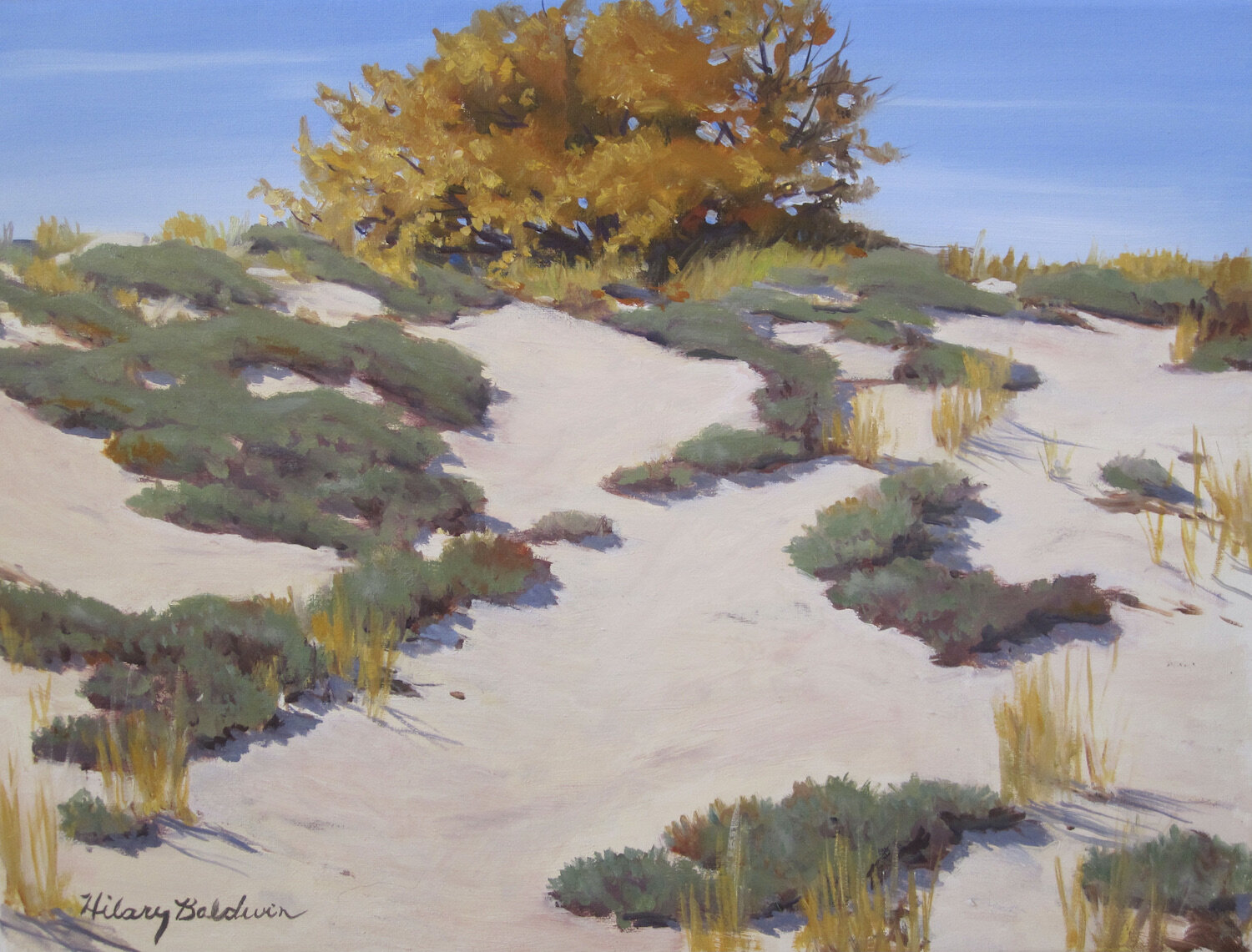   Hilary Baldwin ,  Fall Dunes  Oil, 12 x 16 in.  $925                                 
