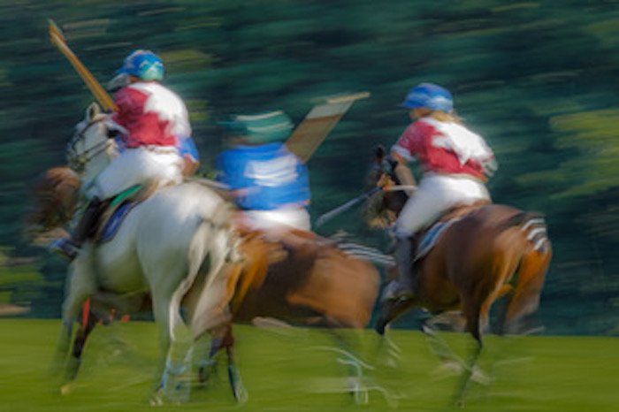 Gail Jenner , Horses in Motion Photograph, 18 x 12 in. $225