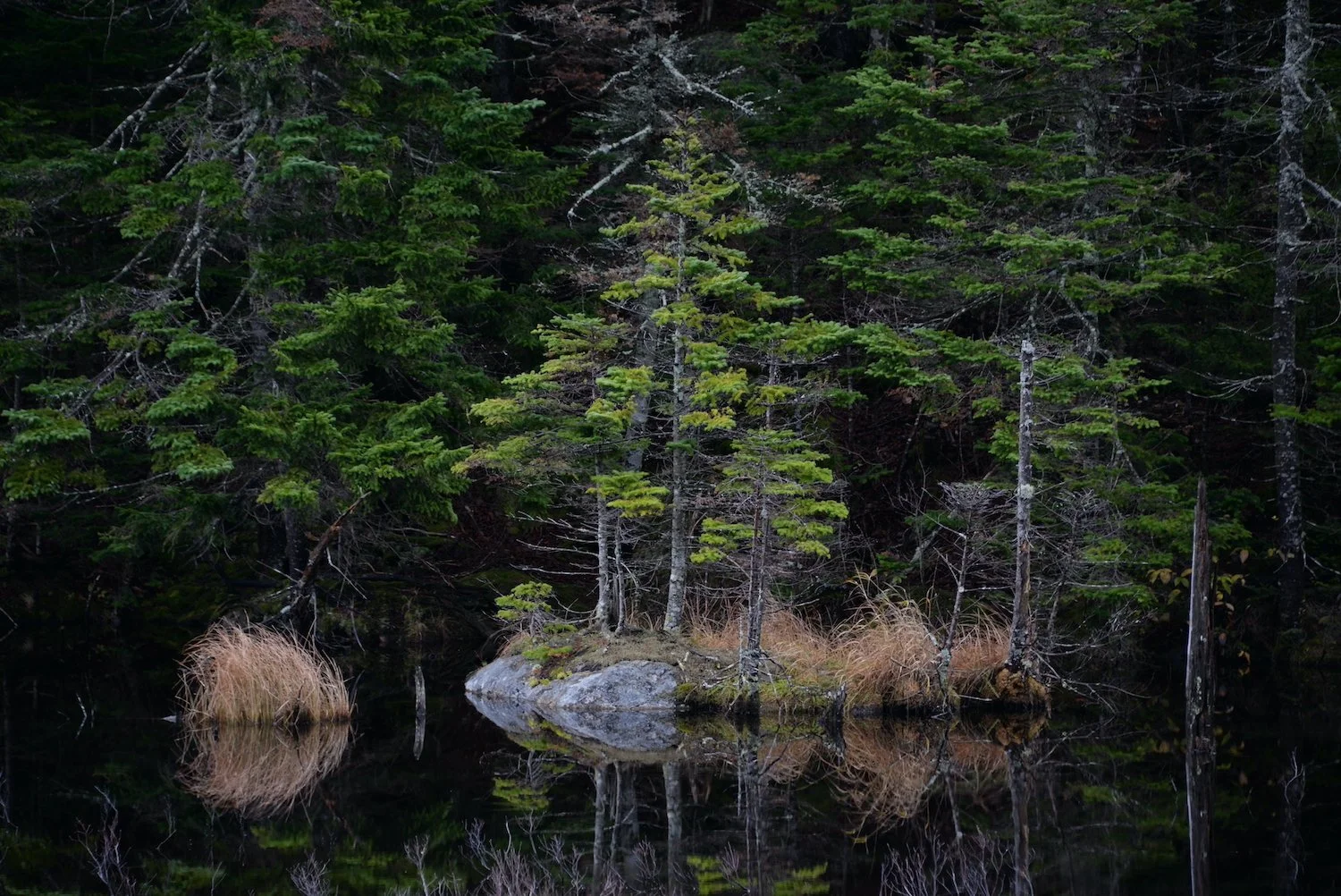   Stephen Delaney ,  Pinkham Notch  Digital photo, 18 x 24 in.  $400  