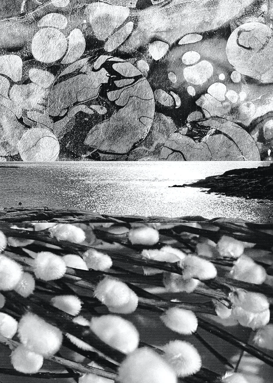 Karen Watson , Willow Moon Archival Digital Photo Montage on art paper, 5 x 7 in. $300