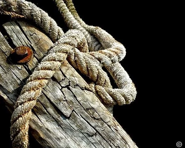   Skip Montello ,  Tied Up  Photography, 10 x 8 in.  $100  