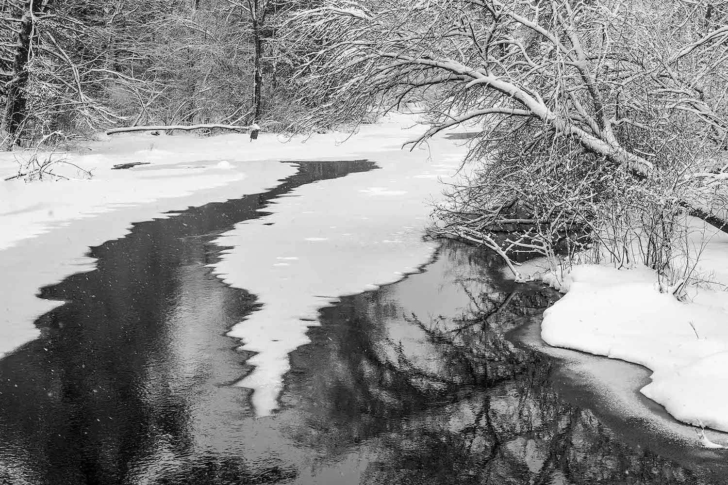 Dorothy Kerper Monnelly , Last Day of Winter Archival Digital Print, 12 x 18 in. $950