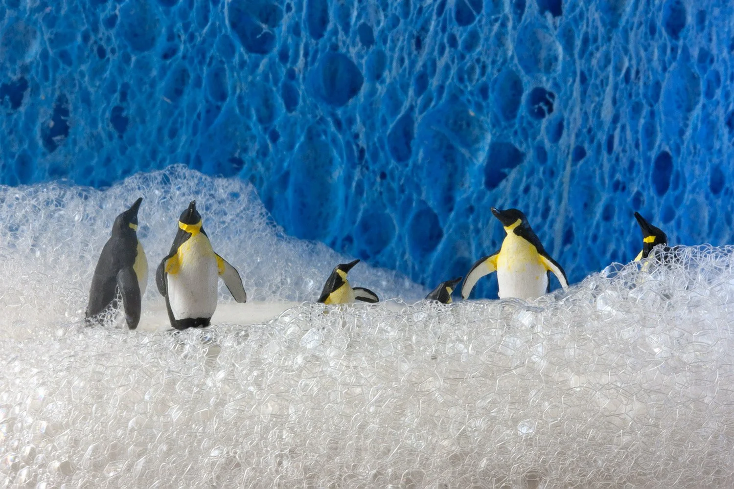 Judy Robinson-Cox, Arctic Penguins Photography, 12 x 18 in. $300