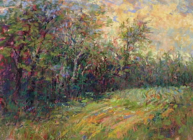   Tom Bailey ,  Meadow Currents  Pastel, 12 x 16 in.  $960  