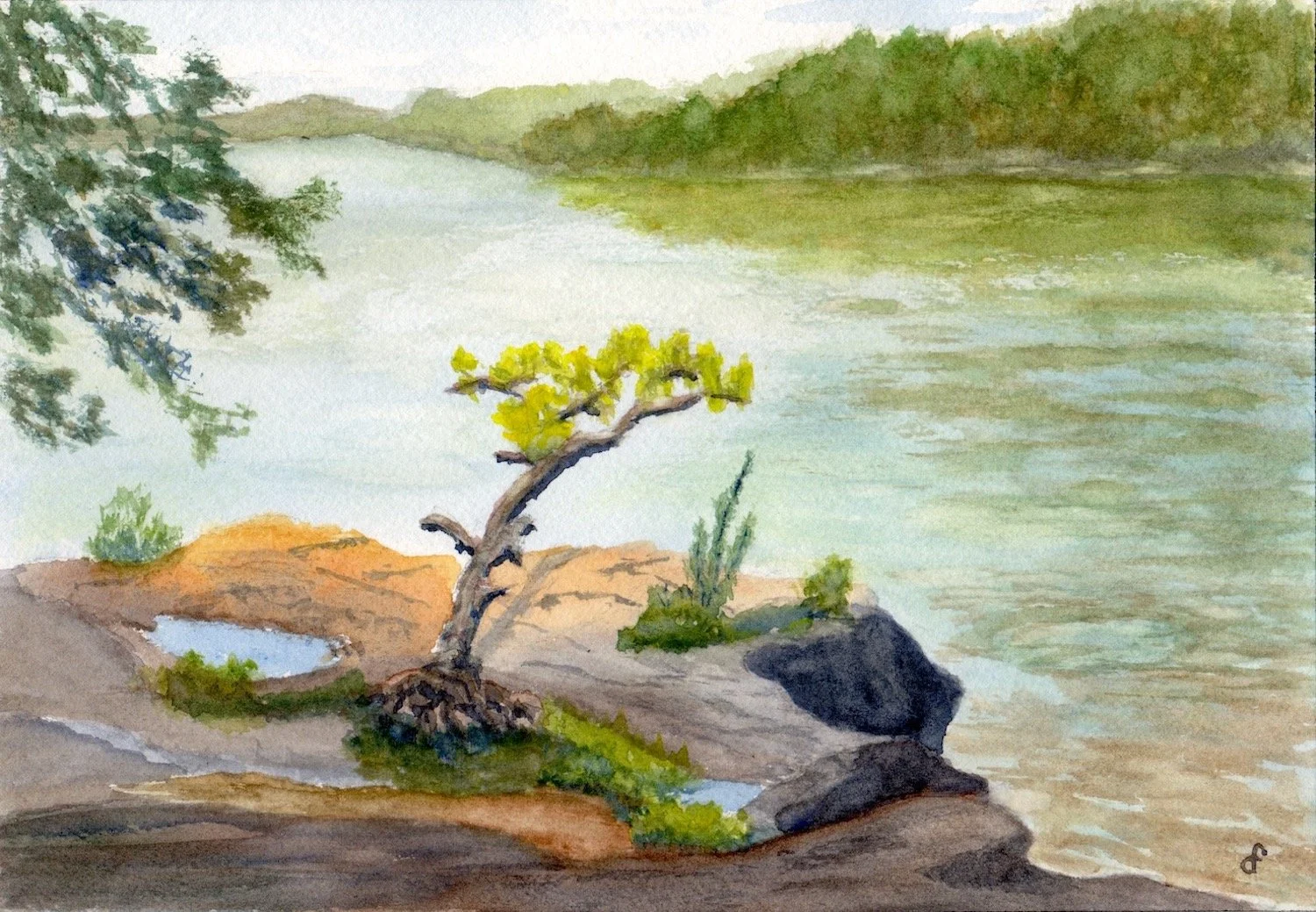 Don Falkenstein , Merrimack River at Maudslay State Park Watercolor, 7 x 11 in $600