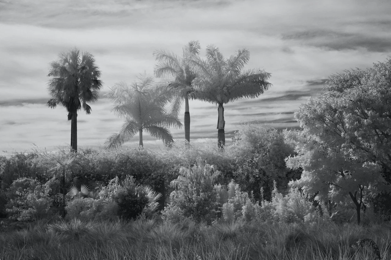 David Piemonte , Palms Together Archival Photography, 18 x 24 in. $350