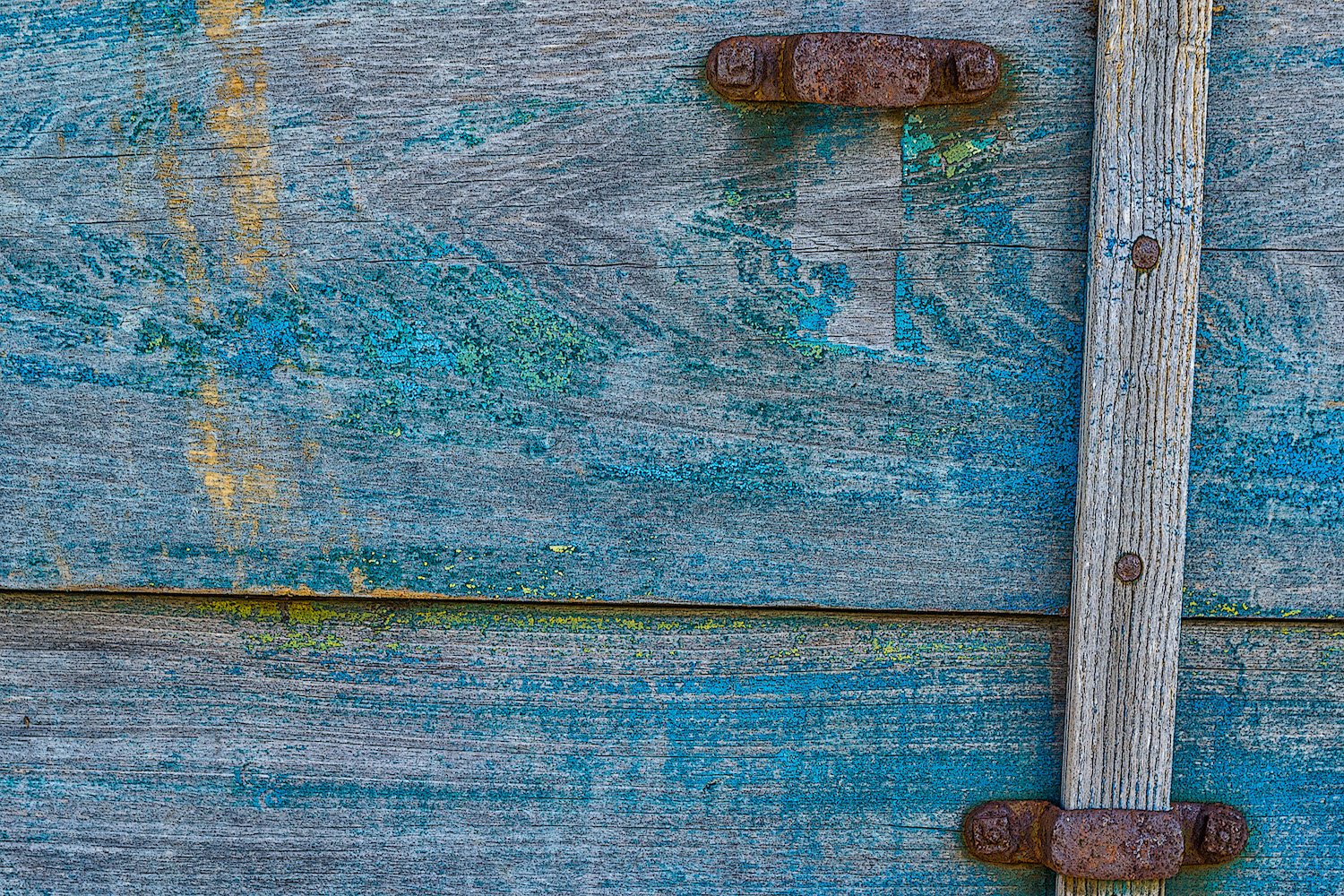 Susan Stone , Blue Wagon Photography, 12 x 18 in. $325