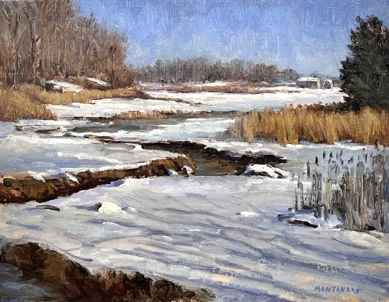 Todd Montanaro , Winter Marsh Oil on canvas, 11 x 14 in. $1,500 The Movalli Family Award for excellence in painting
