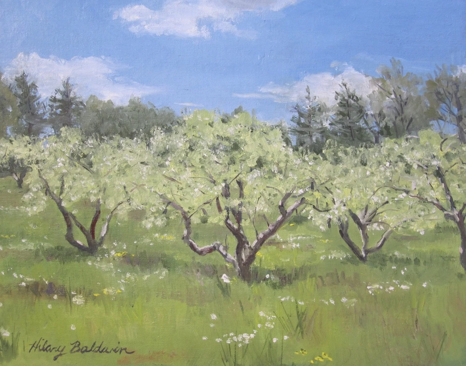   Hilary Baldwin ,  Cotton Farm, Spring  Oil on panel, 11 x 14 in.  $475                     