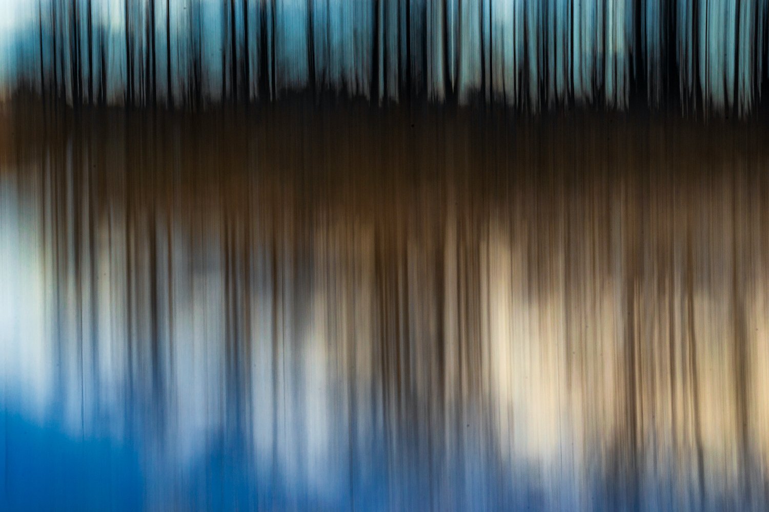 Susan Stone , Eagle Island Trees Photography, 12 x 18 in. $325