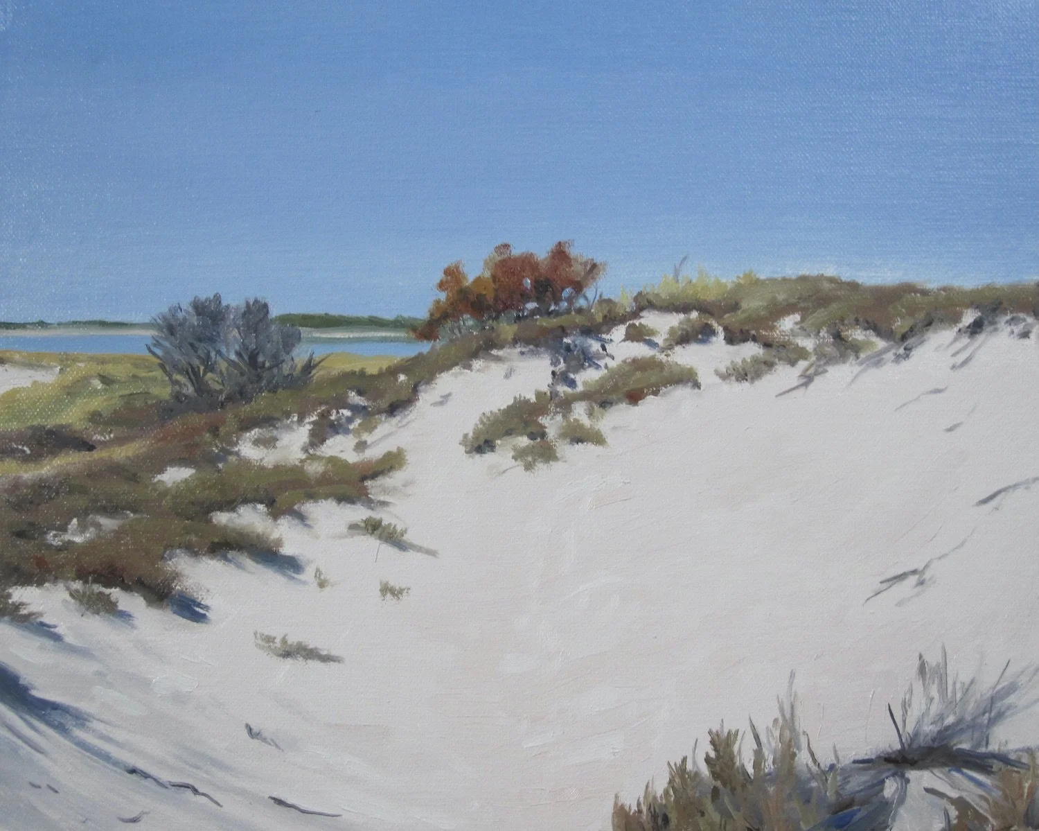   Hilary Baldwin ,  Fall Tree and Dunes  Oil, 8 x 10 in.  $425                         
