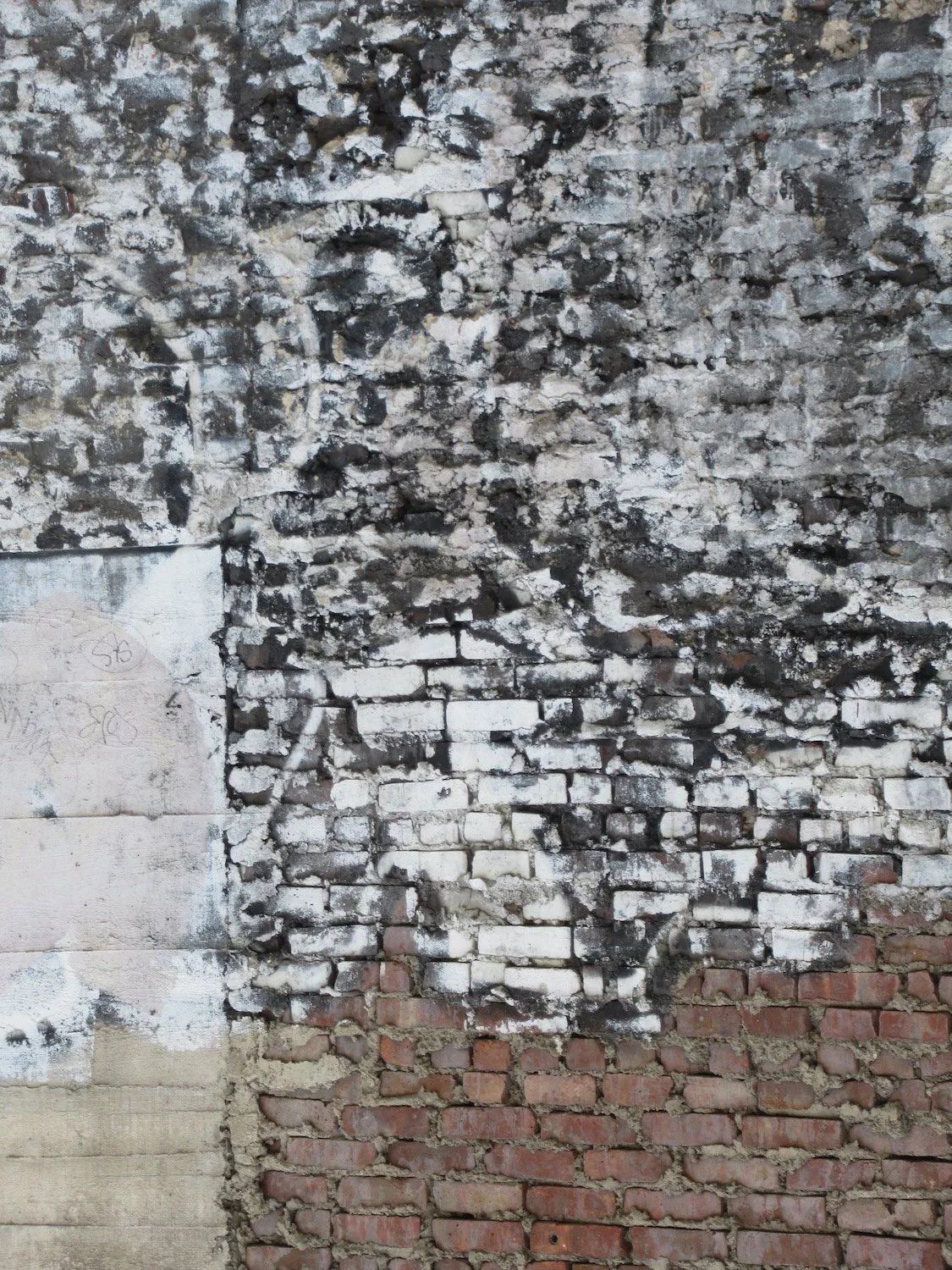   Judy Miller Bailey ,  Another Brick in the Wall  Photography, 18 x 16 in.  $300                        