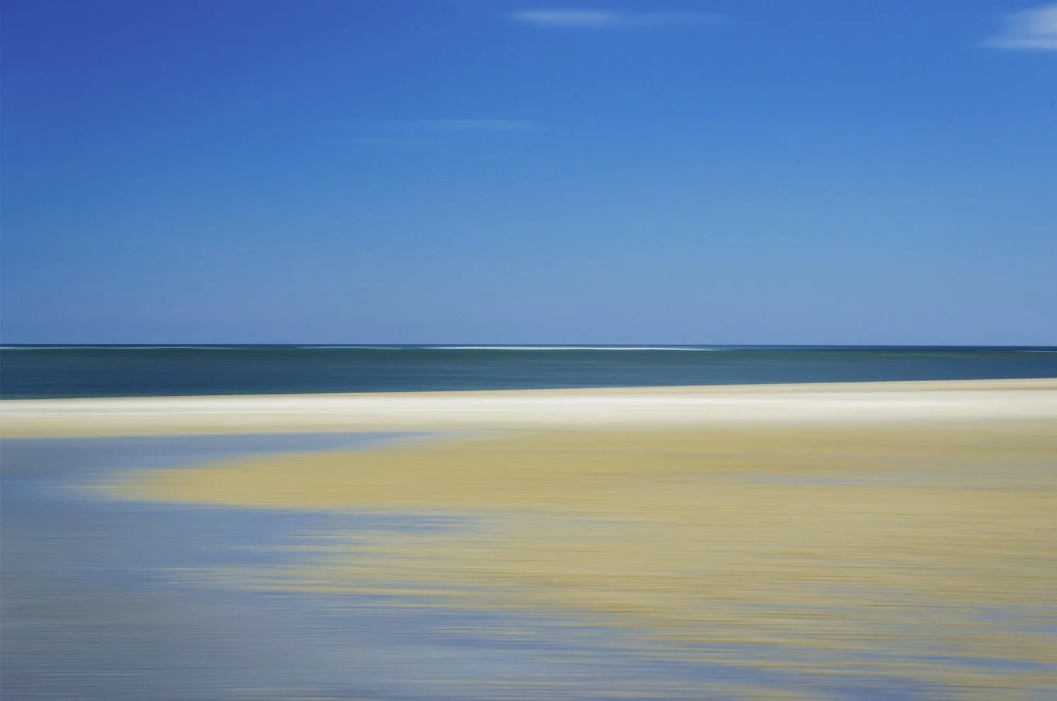 Susan Stone , Color of Cranes #1 Photography, 16 x 24 in. $475