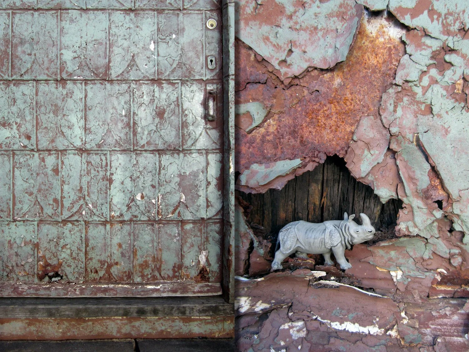   Judy Robinson Cox ,  Ancient Rhino  Photography 16 x 10 in.  $200  