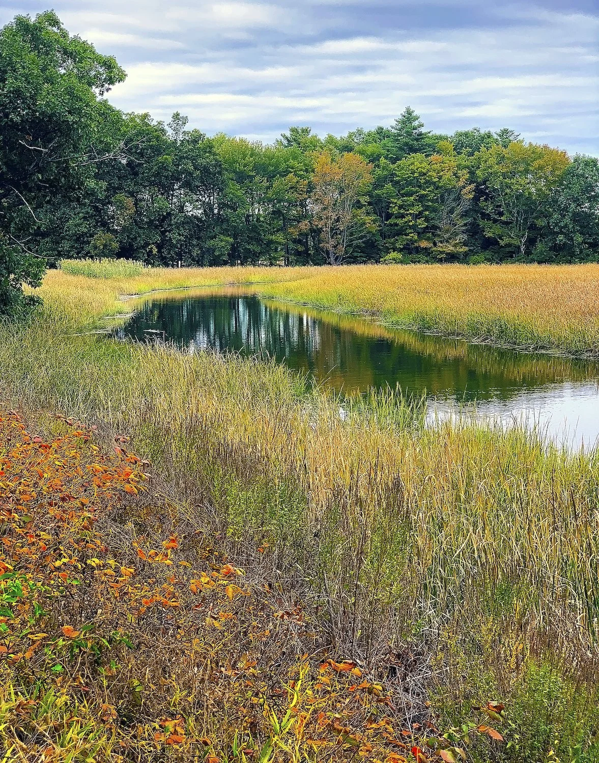   Karen Fitzgerald ,  Rowley Marsh  Photography, 14 x 11 in.  $175  