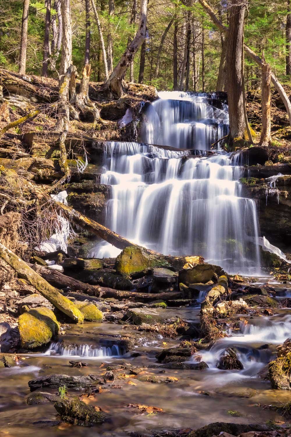   Melissa Cox ,  Falling Into Fall  Photography, 19 x 23 in.  $200  
