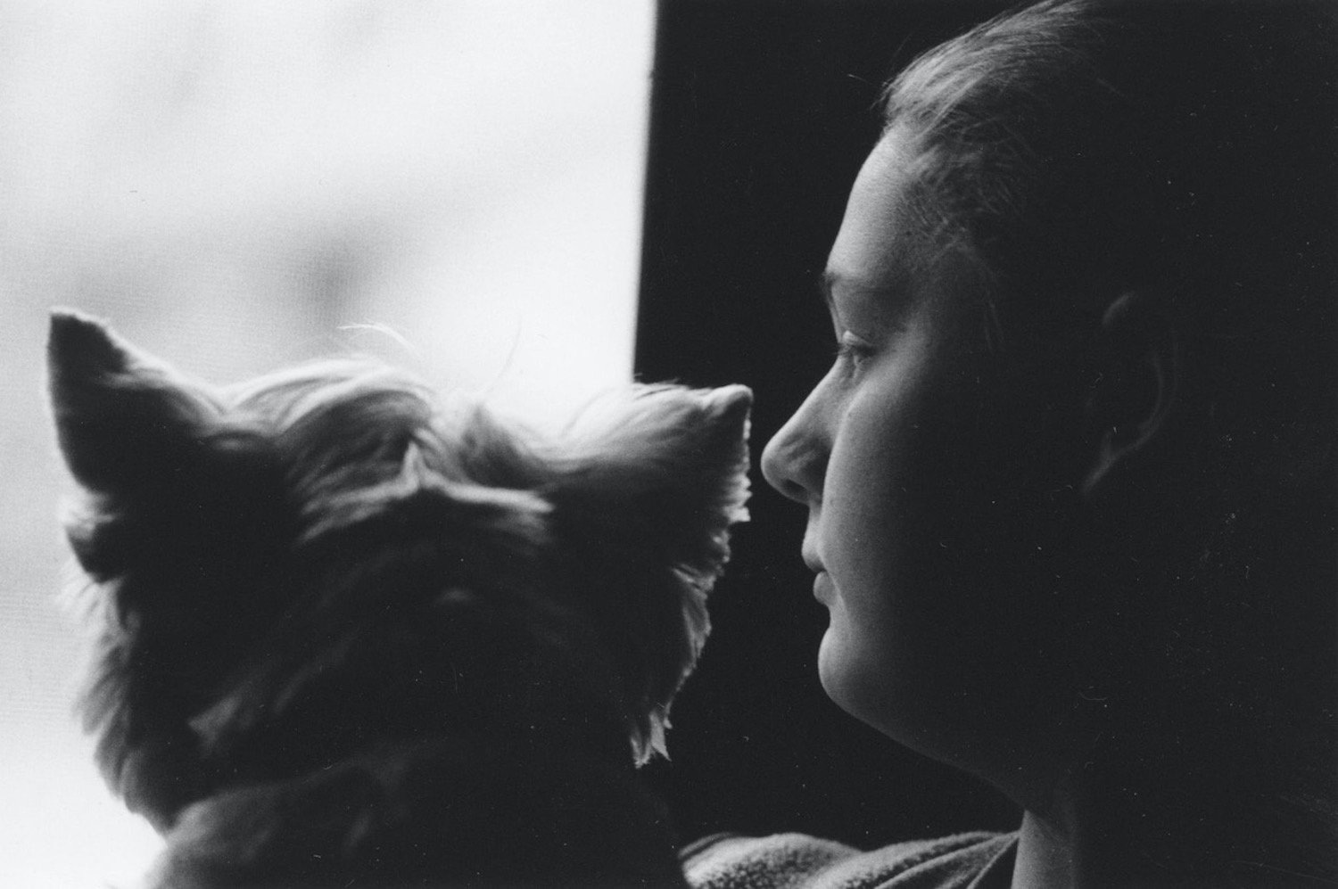 Karen Watson , The View Silver gelatin photograph from black and white film, 14 x 11 in. $300