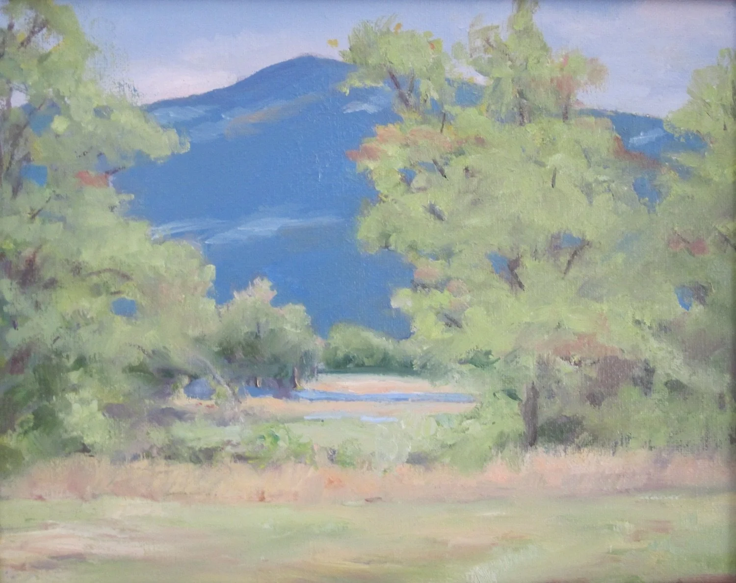   Hilary Baldwin ,  Trees, Mt. Monadnock, II  Oil, 8x10  $425                                