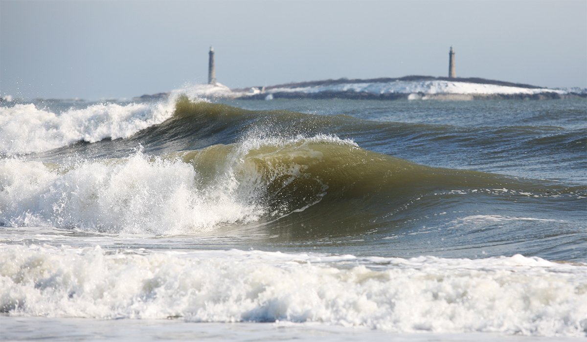 Law Hamilton , Curl in January Photograph, 4x7 $150