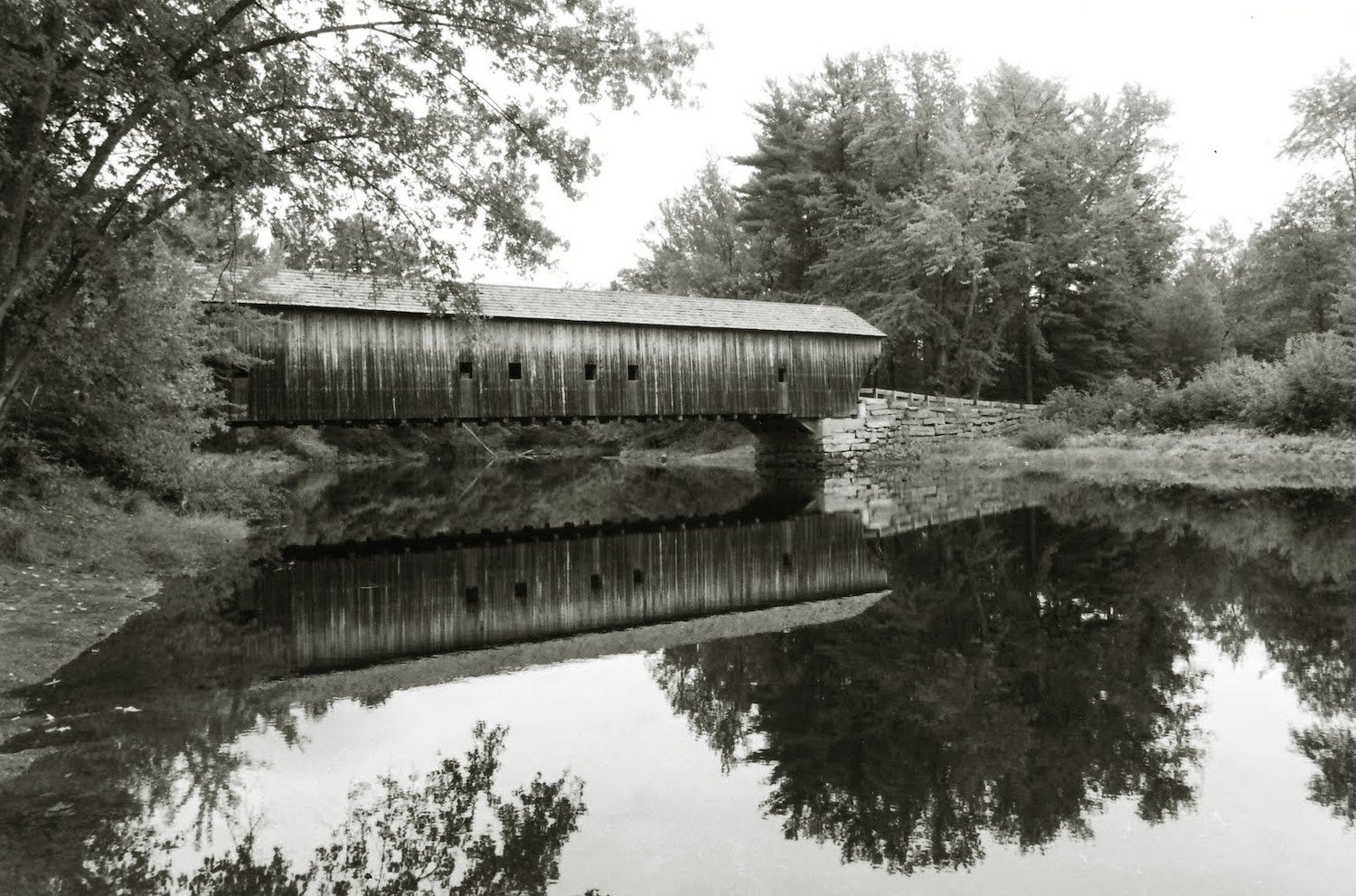   Mark T. Brophy,   Hemlock Bridge , infrared, 35mm, 8x10 