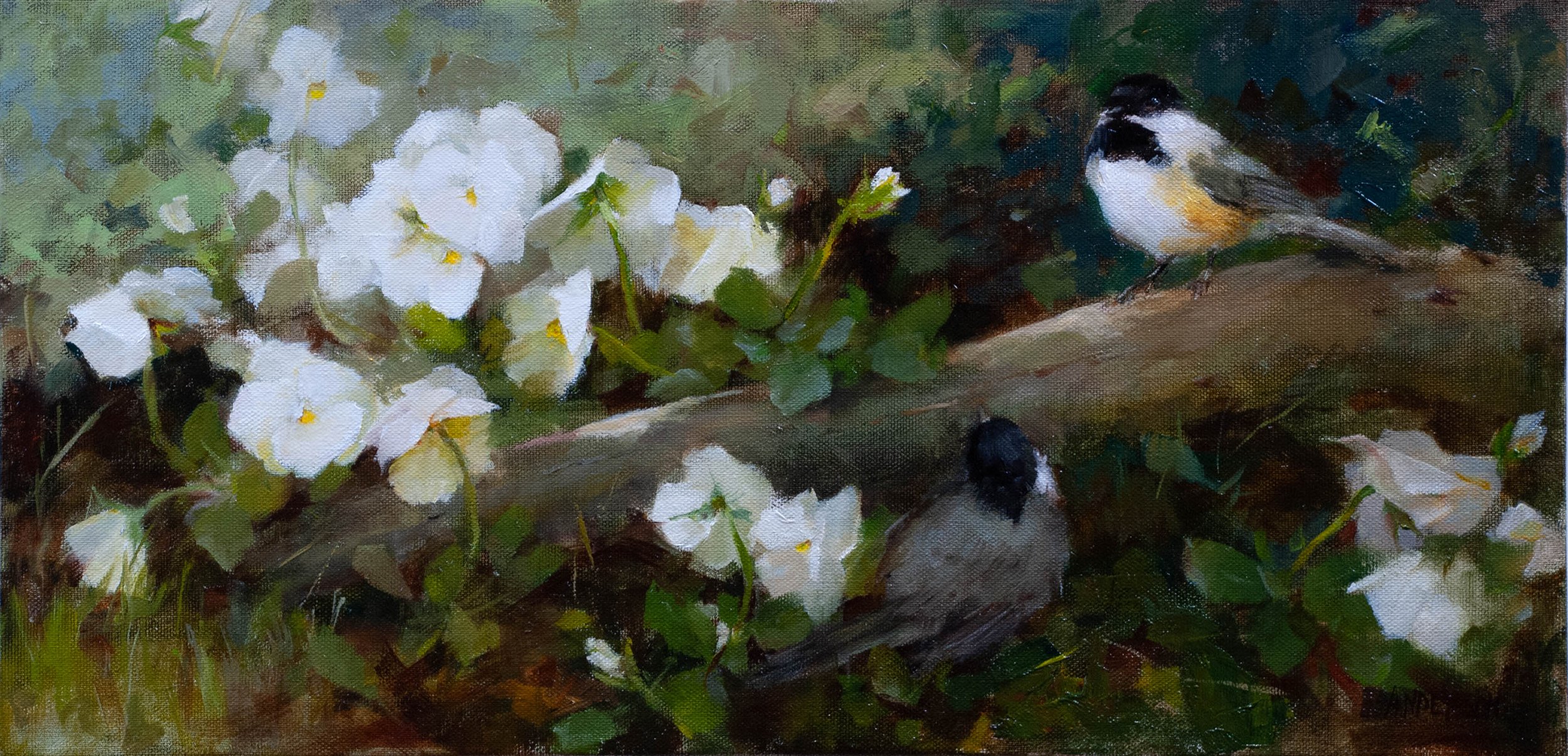 White Pansies and Two Chickadees, 10x20.jpg