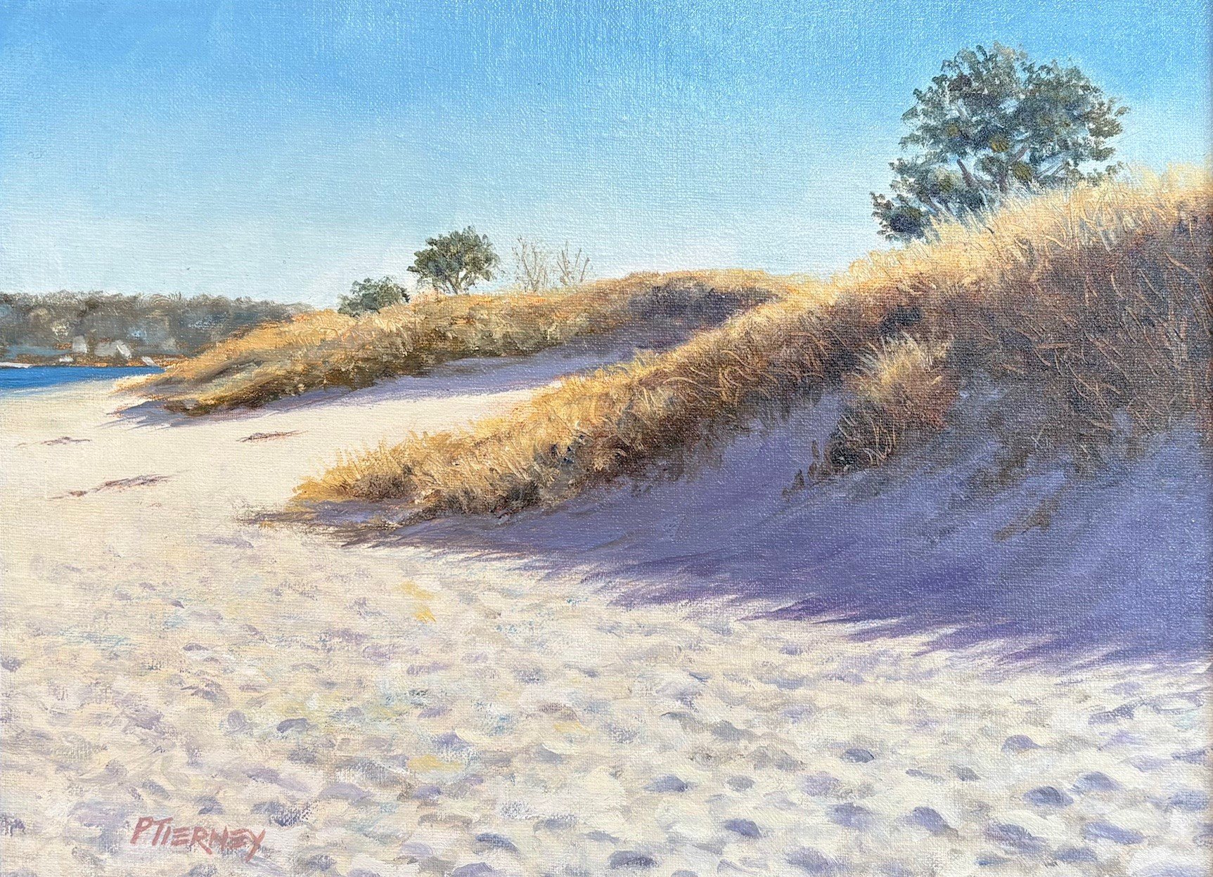 Contributing Members Show