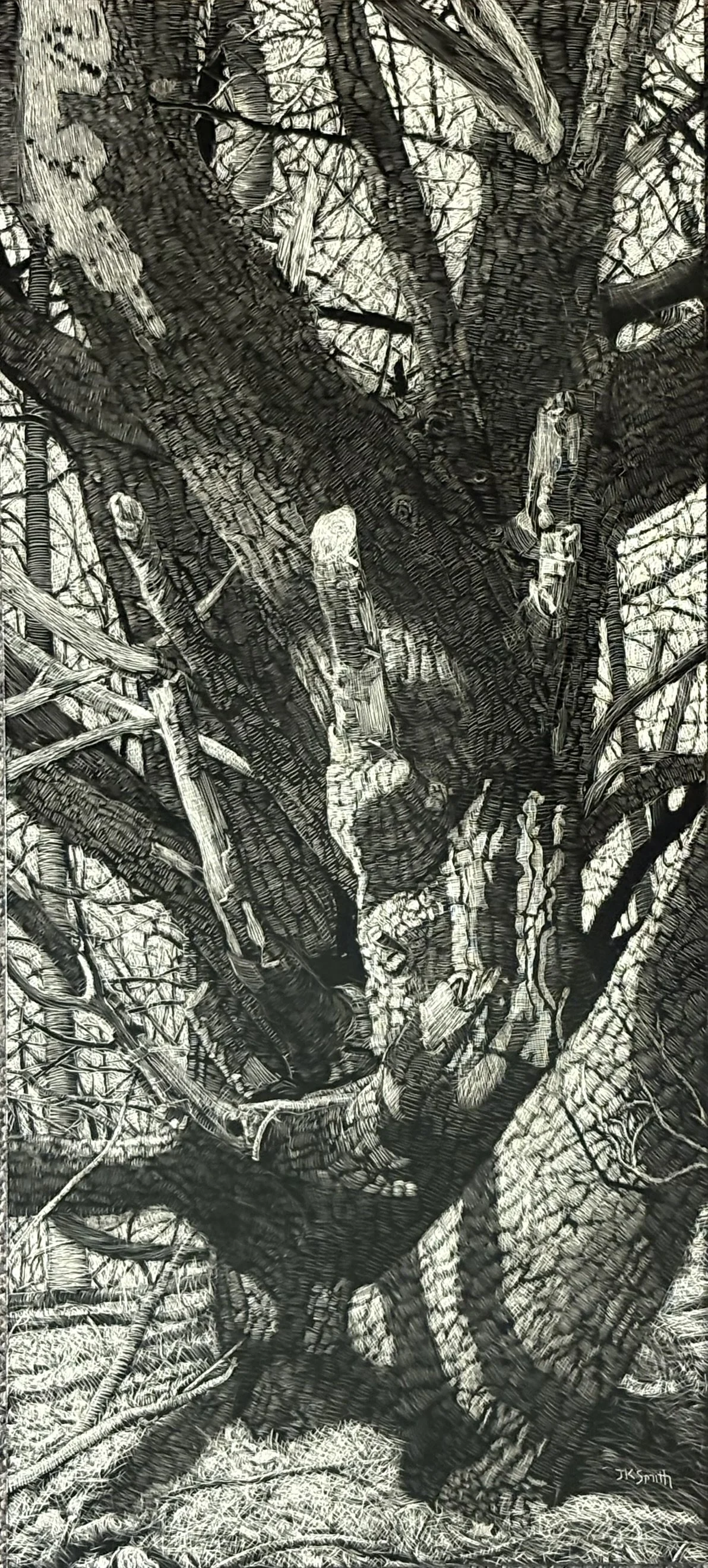 Out of the Woods: From Sketchbook to Scratchboard with Joe Smith