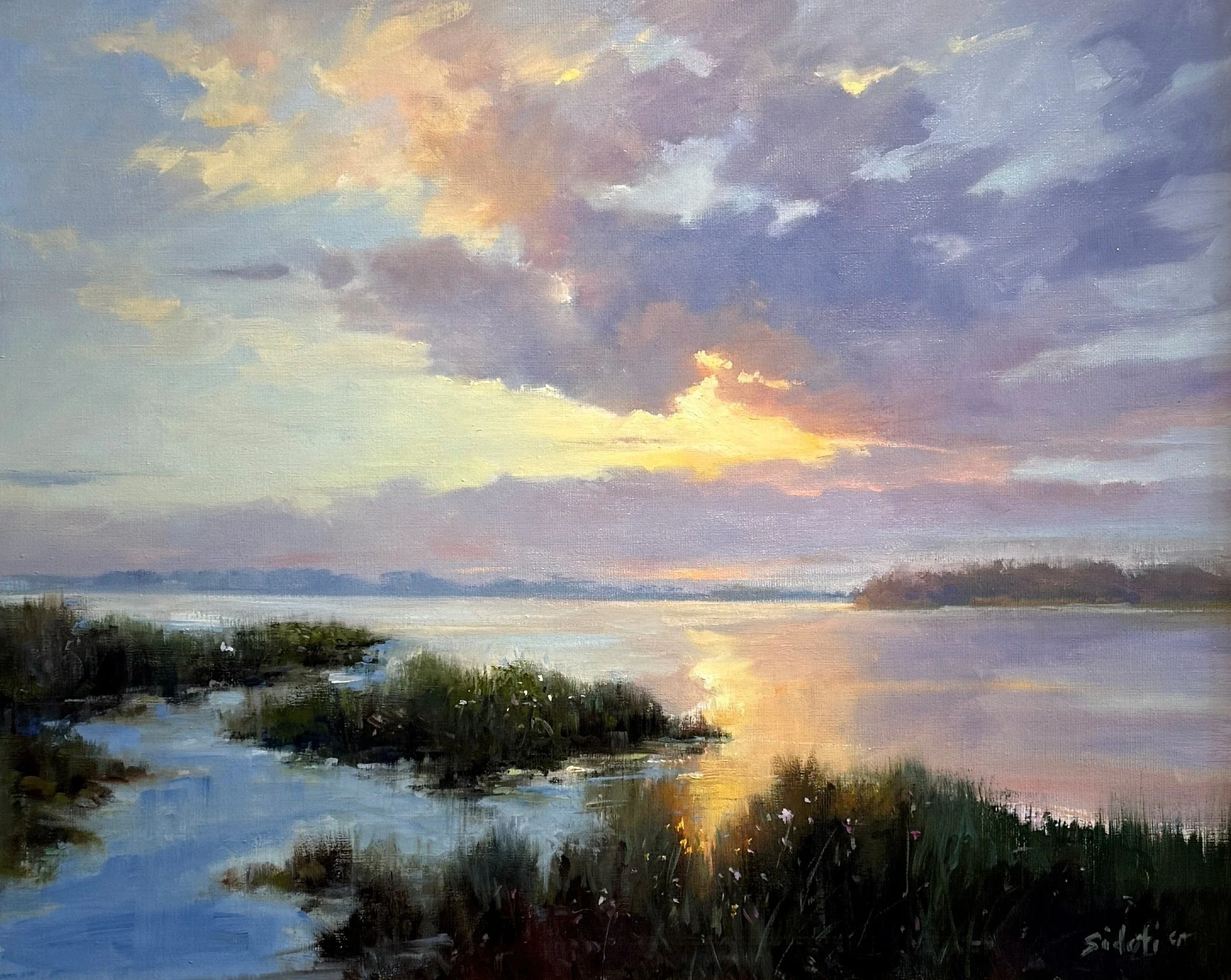 Seeing Beyond the Light with Rosalie Sidoti