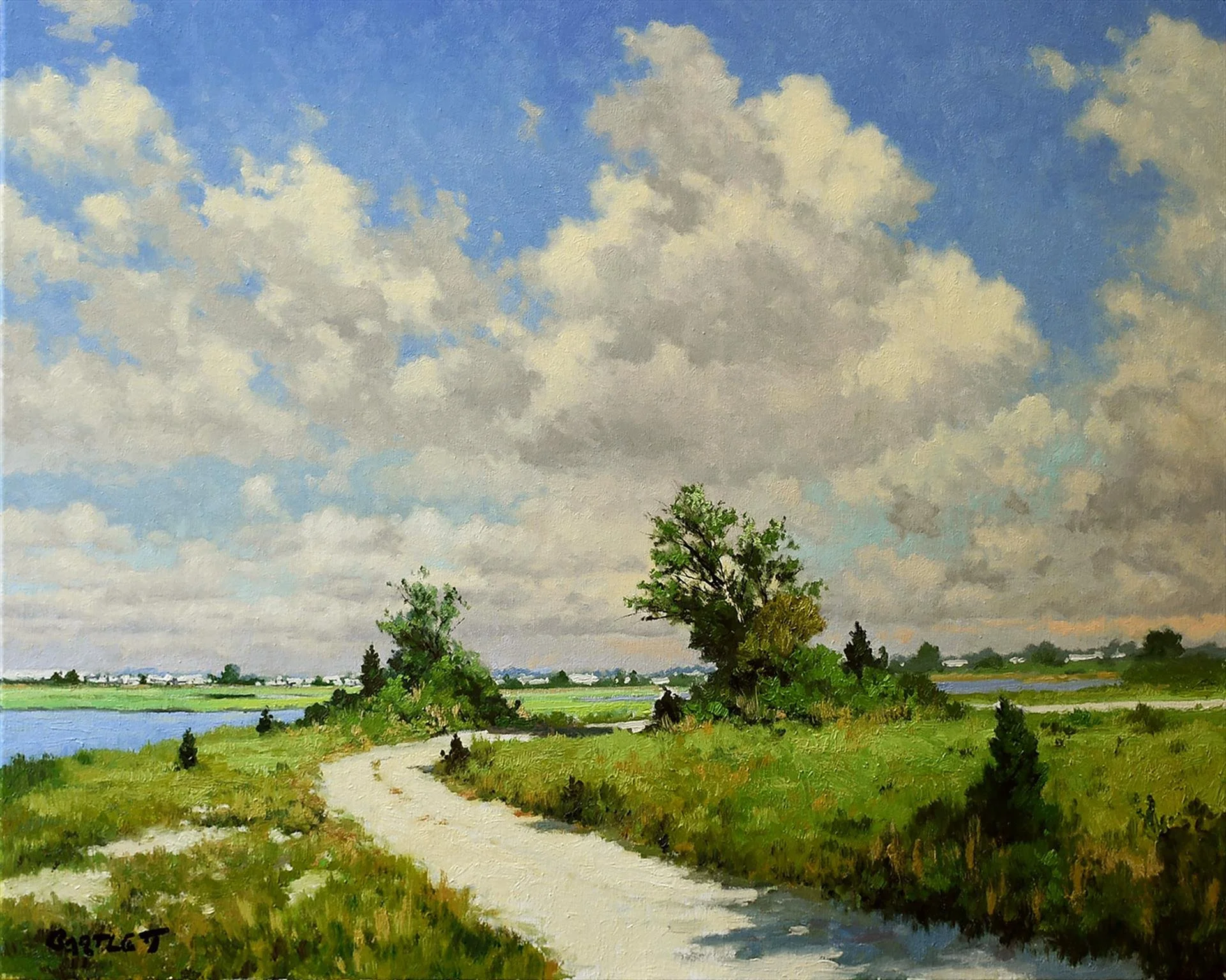 Harley Bartlett - Beach Road.jpg