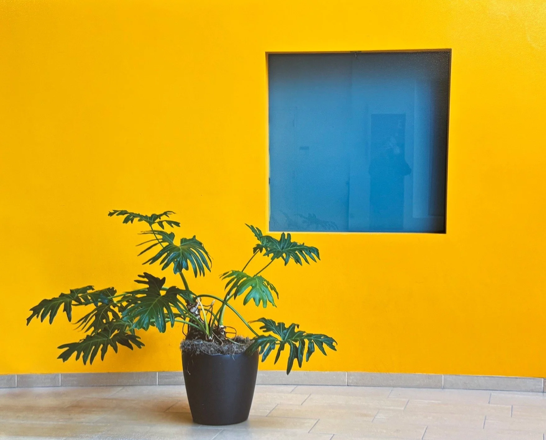 Small Works 4 – Juried Artist Members