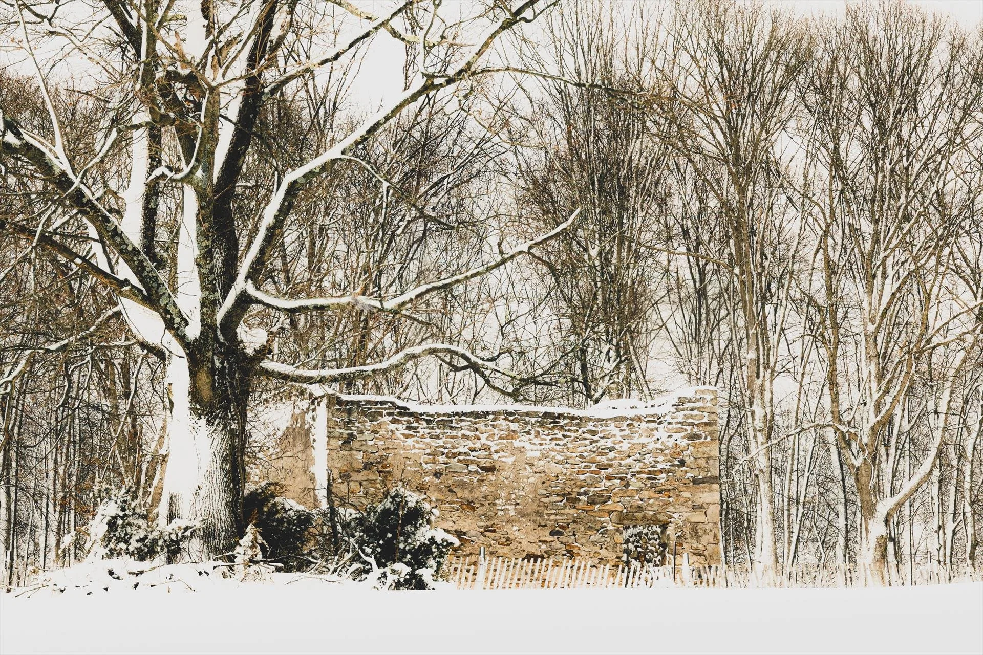   Donald Atkinson ,  Winter’s Blanket  Photography, 20 × 30 in. $600 