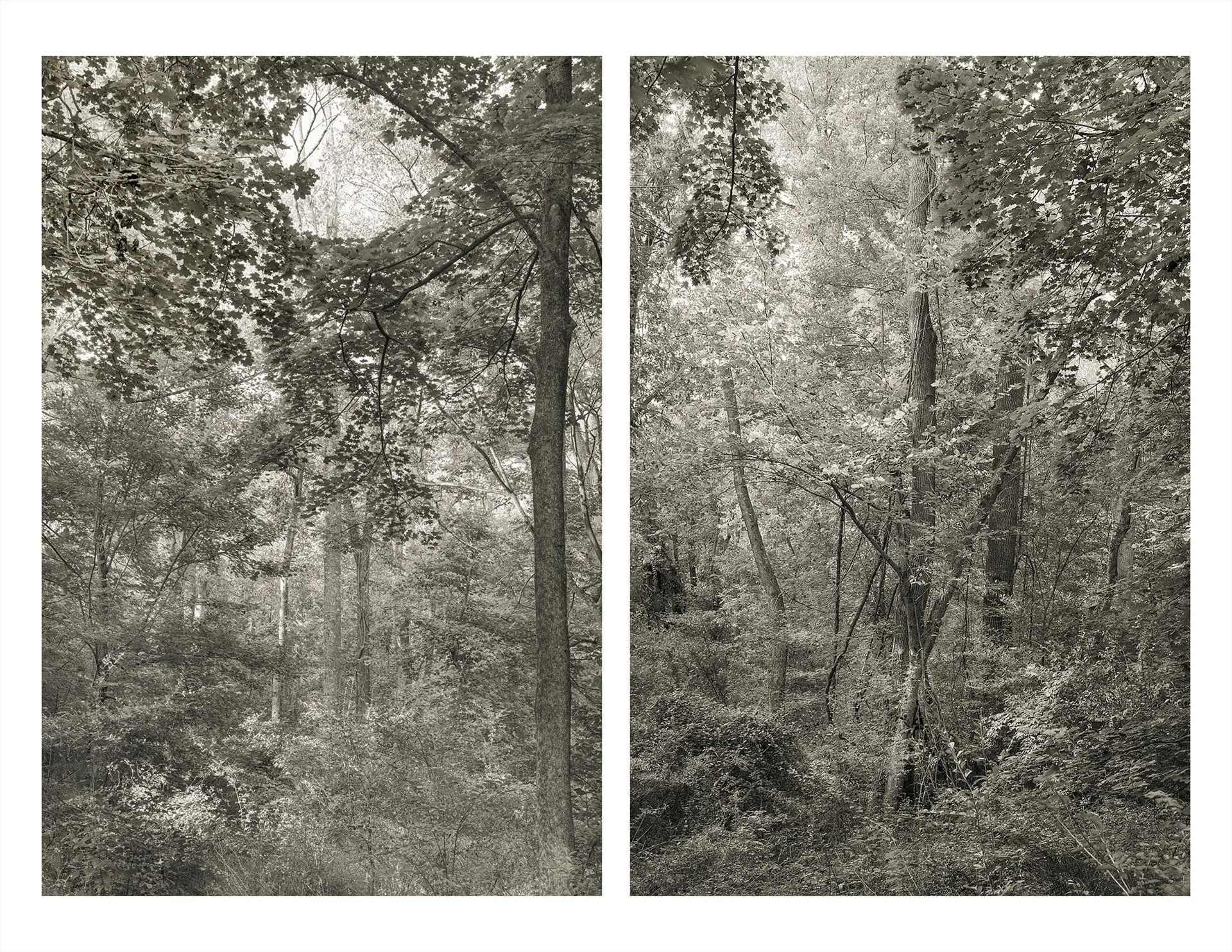   Hilary Houston Bachelder ,  J &amp; J  Photograph, Archival Pigment Print, 17 × 22 in. $600 