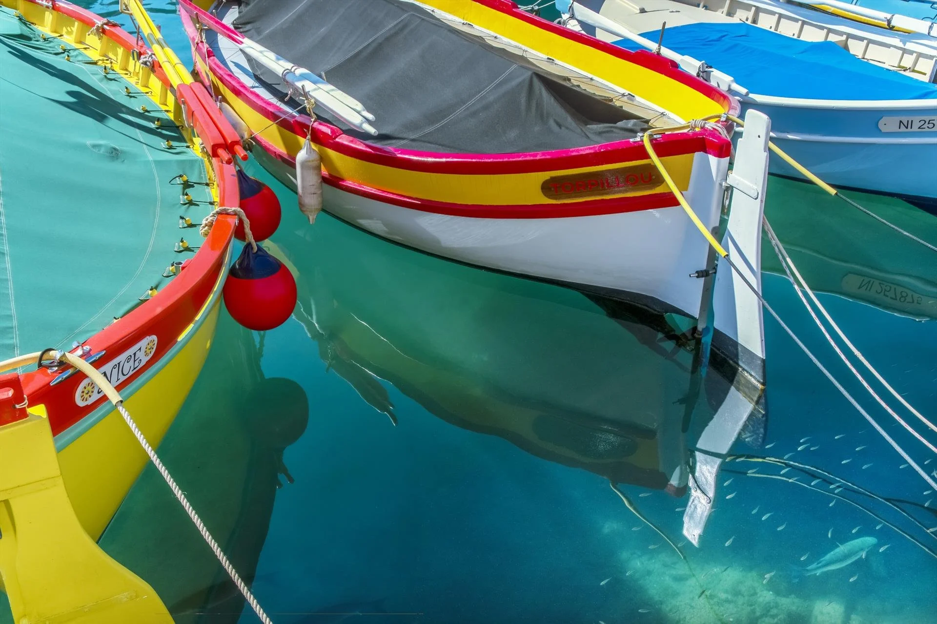   Larry Joubert ,  Minnow Parade  Photography as Canvas Wrap, 20 × 30 in. $675 