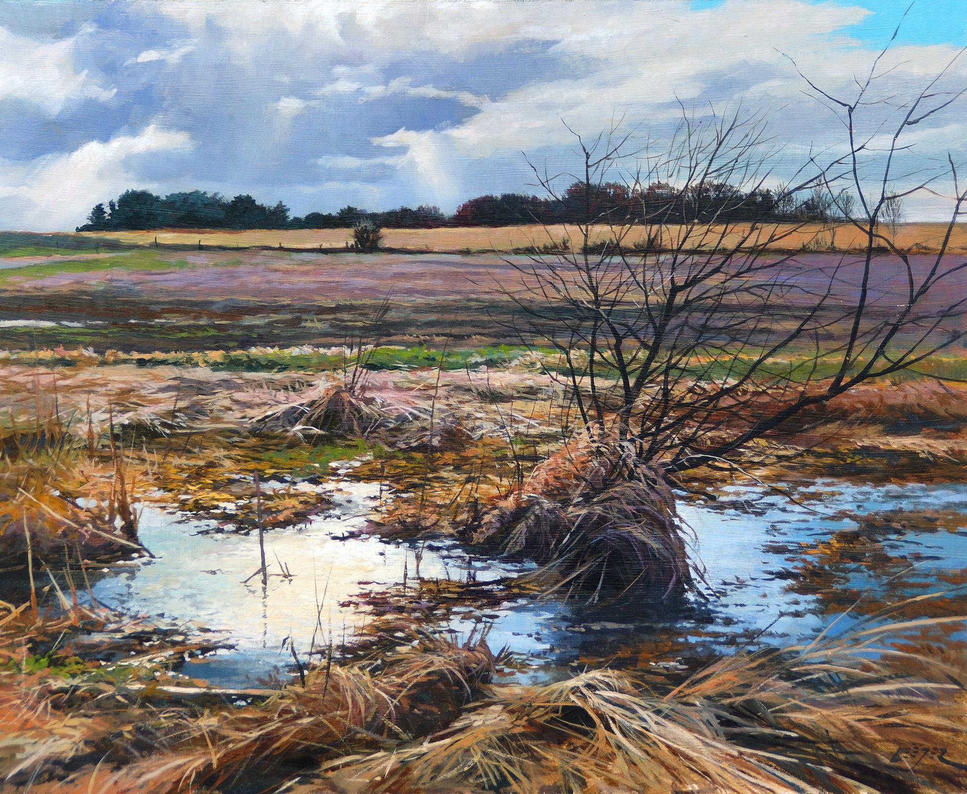   Christopher Leeper ,  The Wet Season  Acrylic, 16 × 20 in. $3,250 