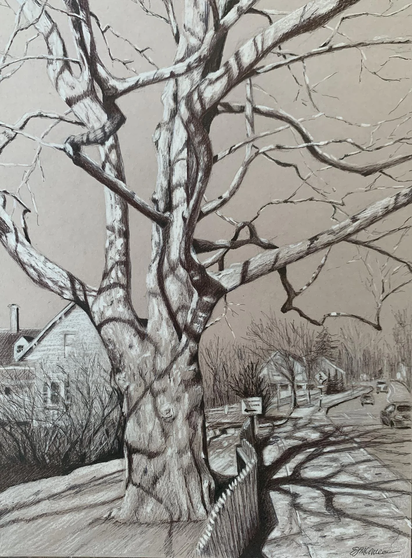   Elissa McMeniman ,  Tree Shadows  Ink and White Pencil on Toned Paper, 12 × 9 in. $600 
