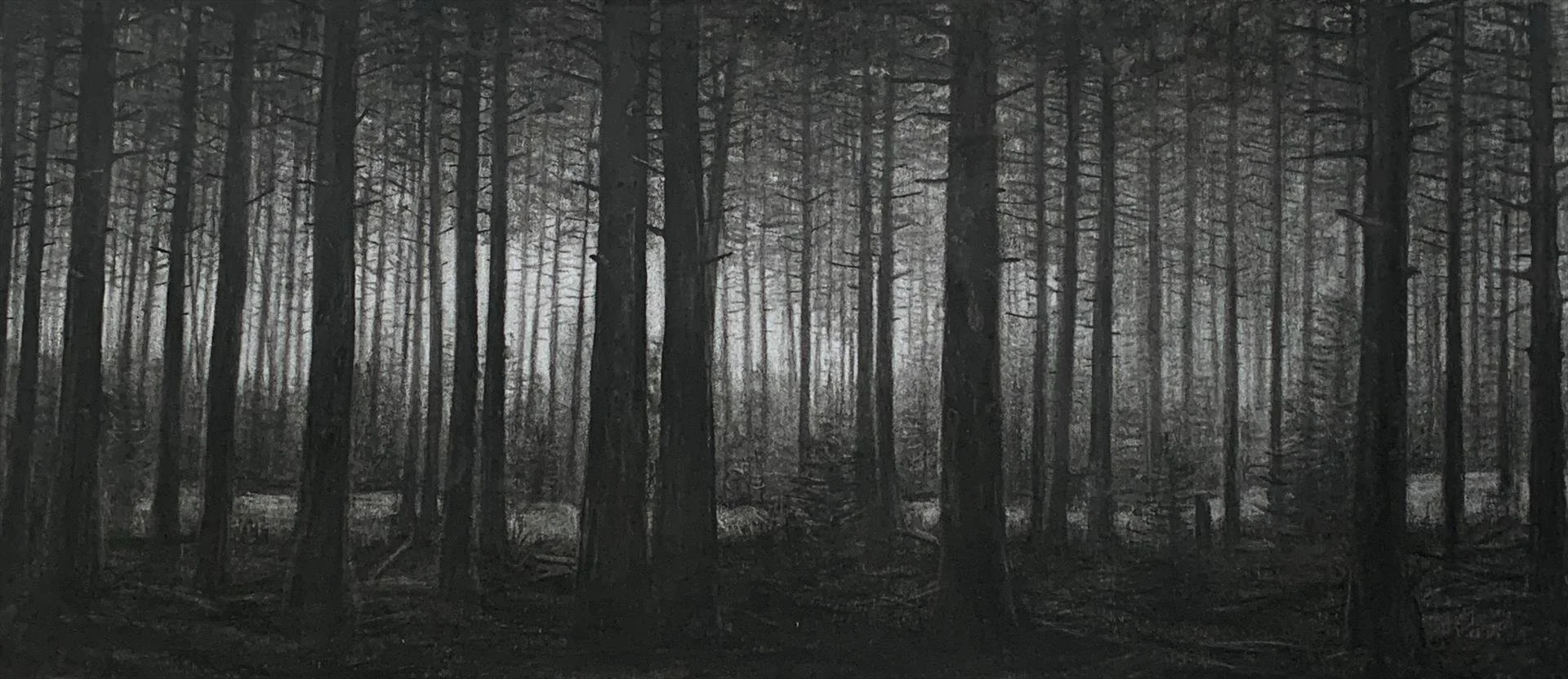   Darcy Scanlon Moulton ,  They Will Never Find Us  Charcoal, 12 × 22 in. $795 