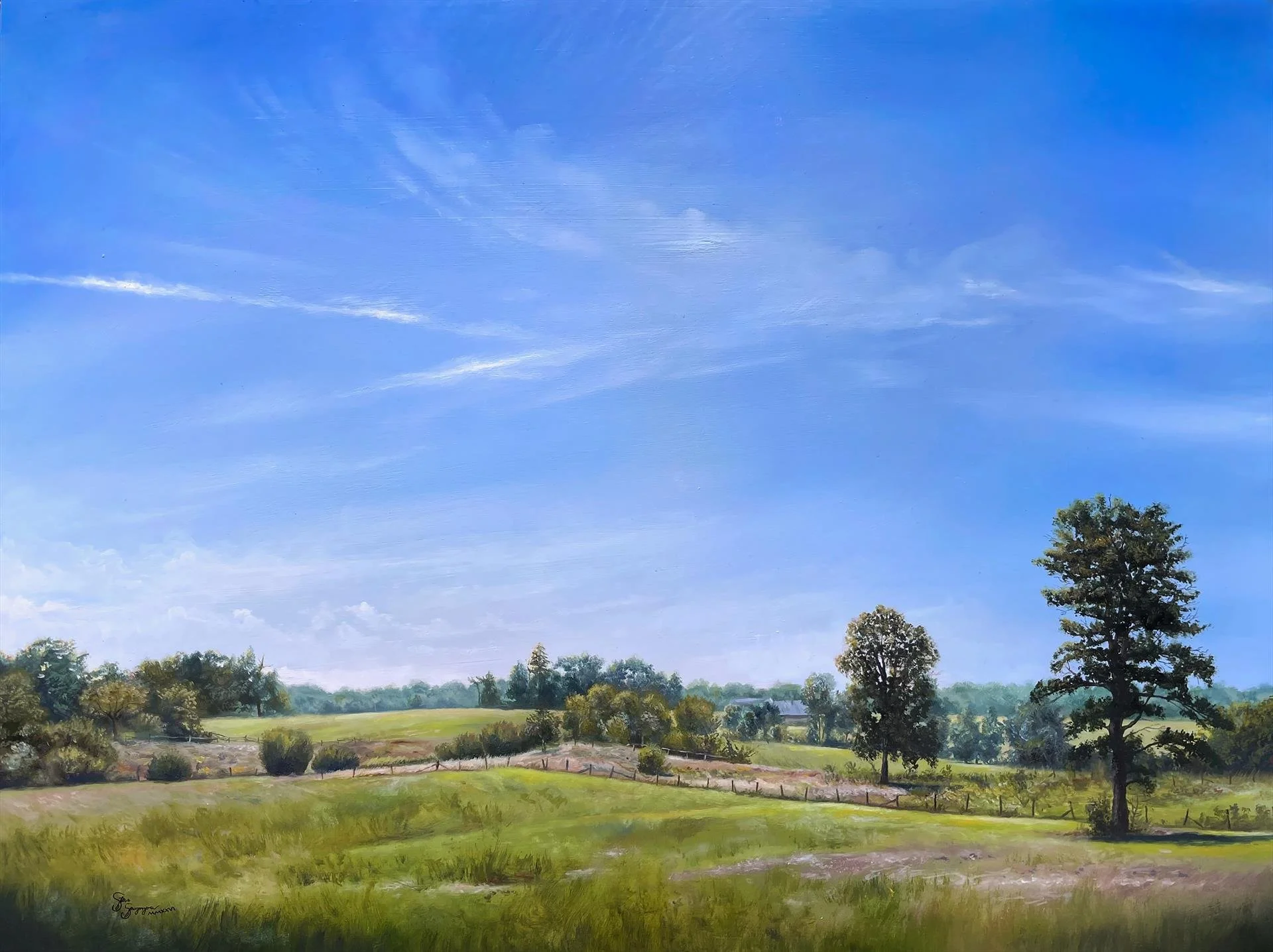   Steve Sangapore ,  New England Summer  Oil, 12 × 16 in. $1,450 