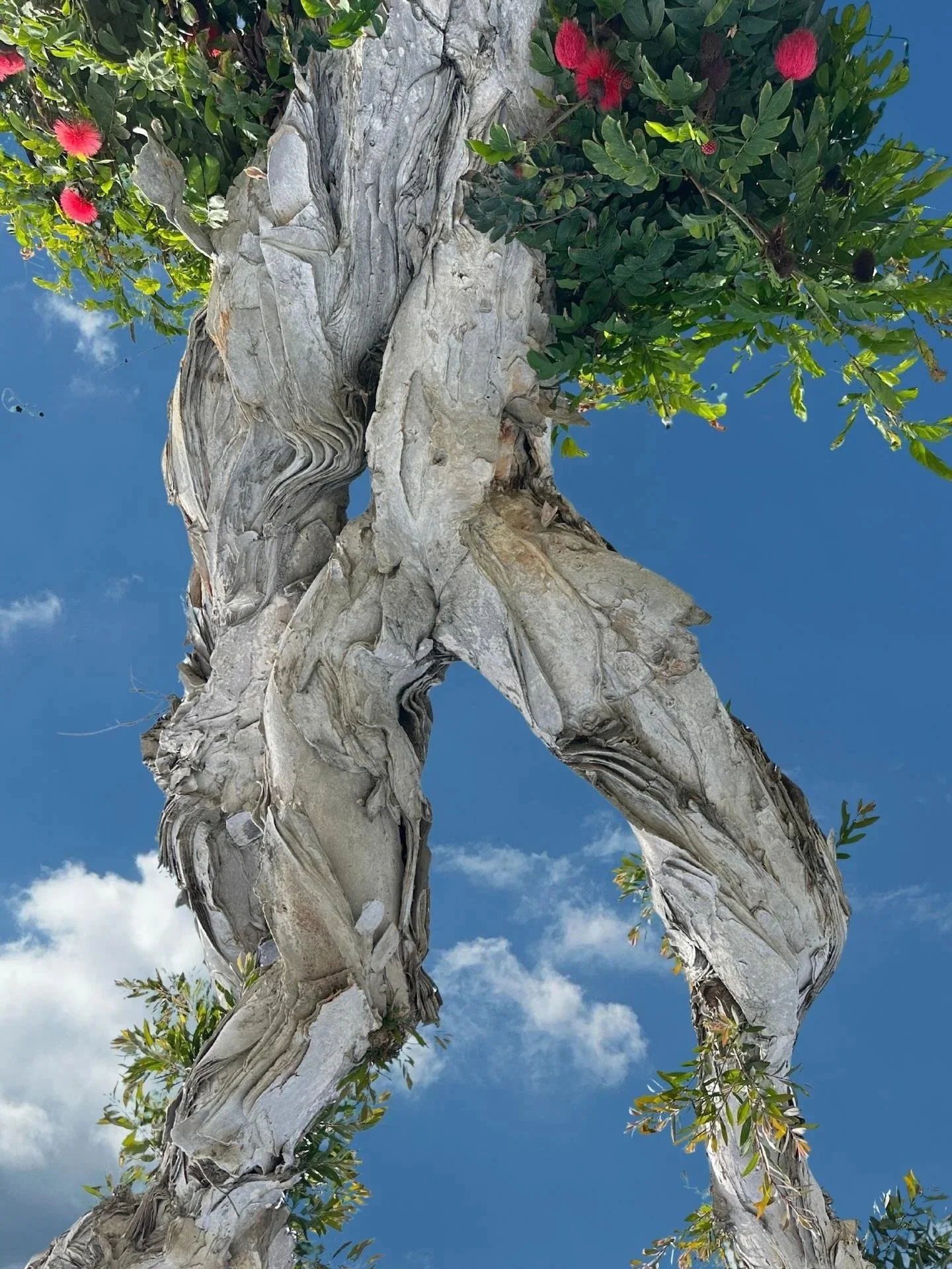   Mindy Nierenberg ,  Moving Forward Despite It All  Digital Photography (Original Elements), 30 × 20 in. $940 
