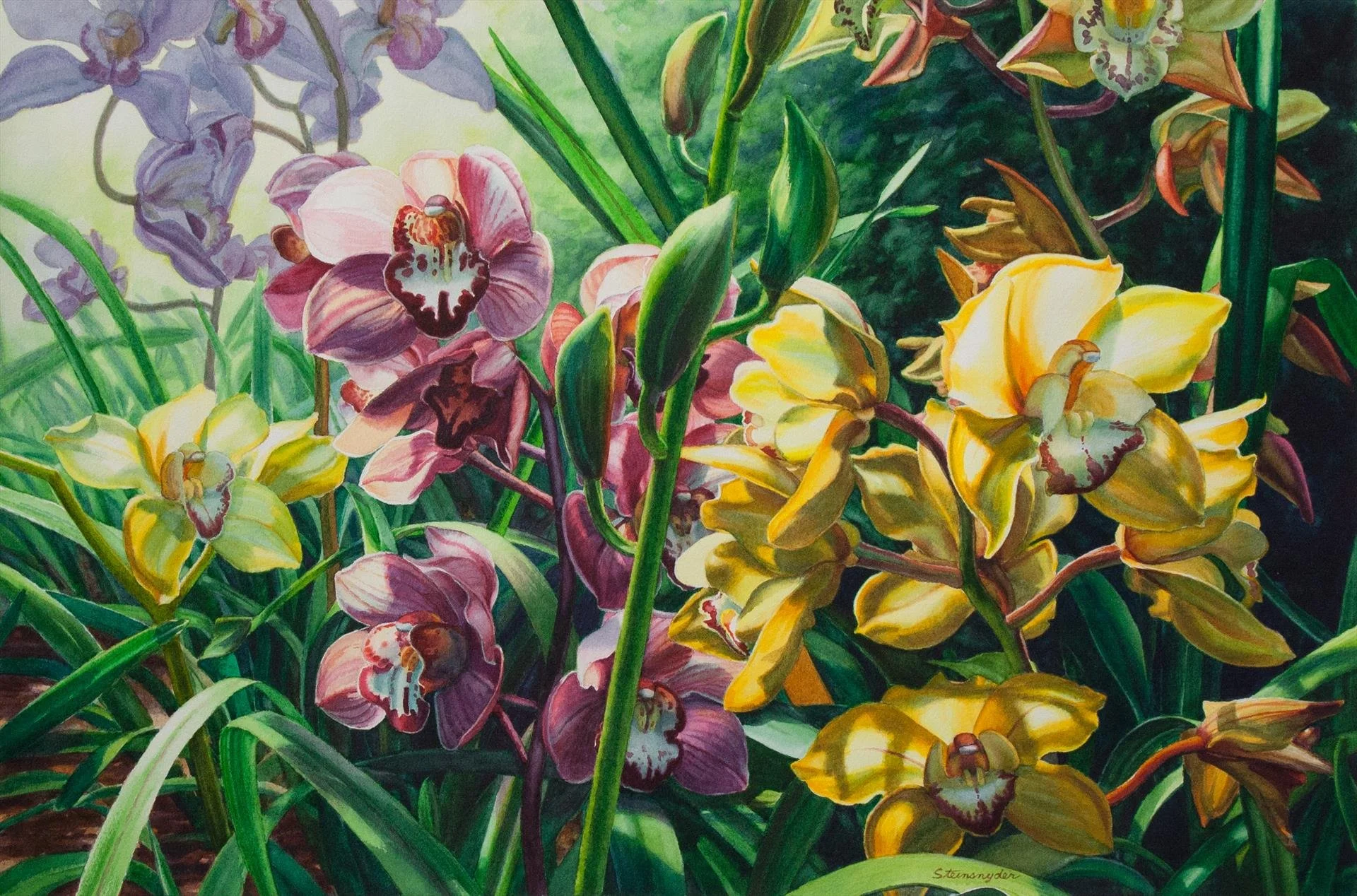  Bonnie Steinsnyder ,  Orchids and the Offside Rule  Watercolor, 15 × 22 in. $2,750 