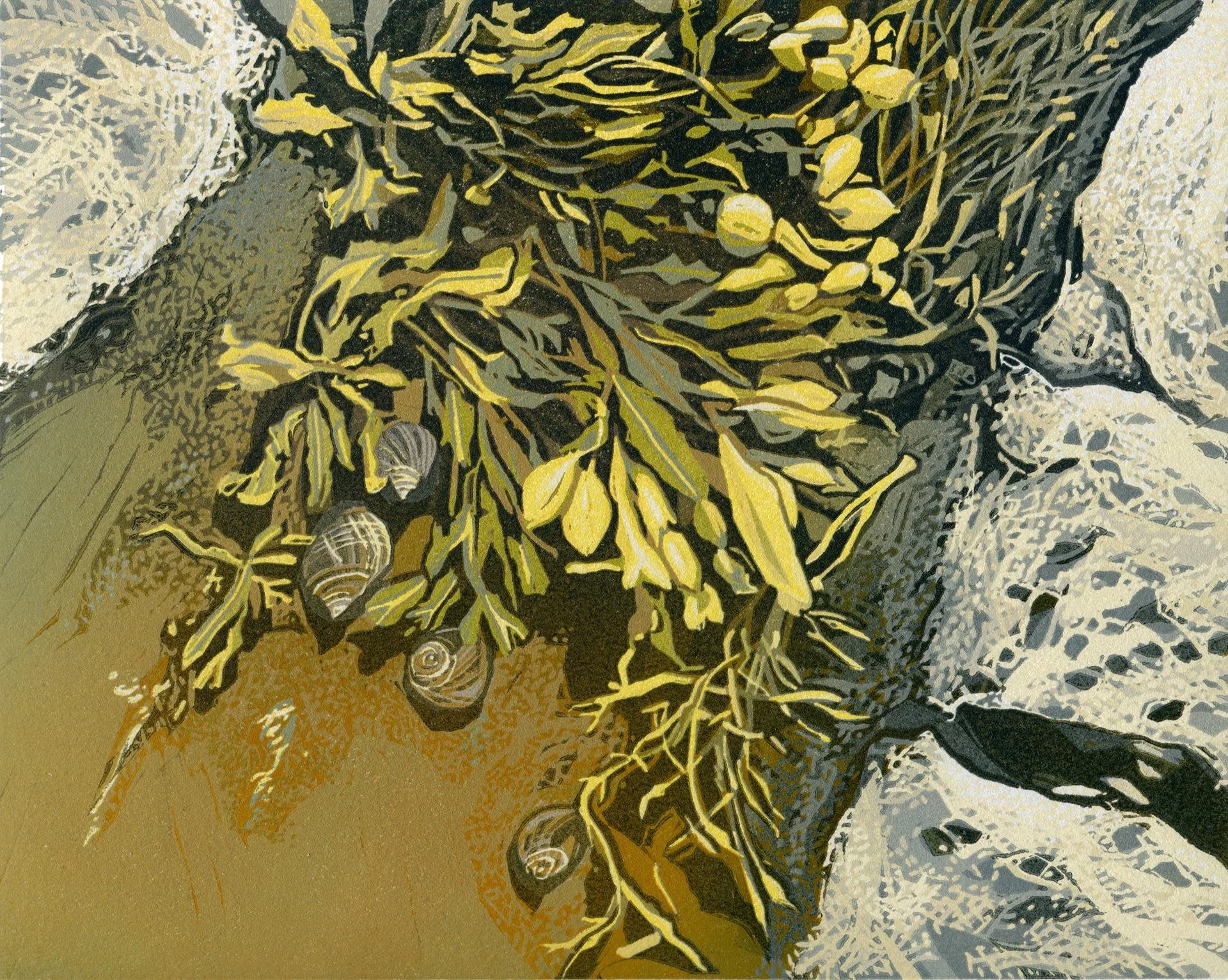   Sherrie York ,  Rockweed and Periwinkles  Linocut, 8 × 10 in. $650 