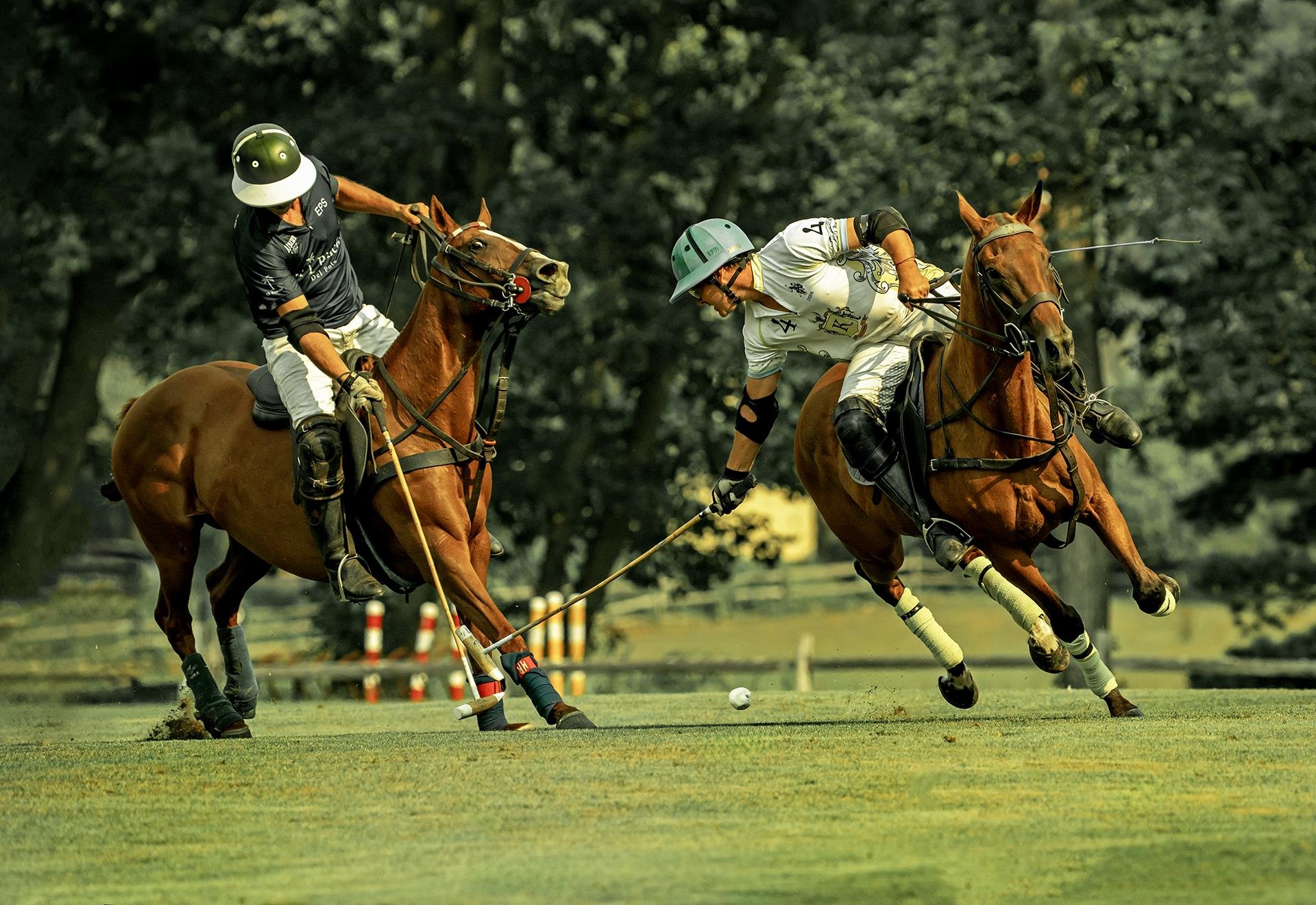 Elaine Somers, Myopia Polo